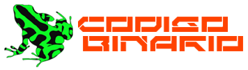 Logo CODIGO BINARIO